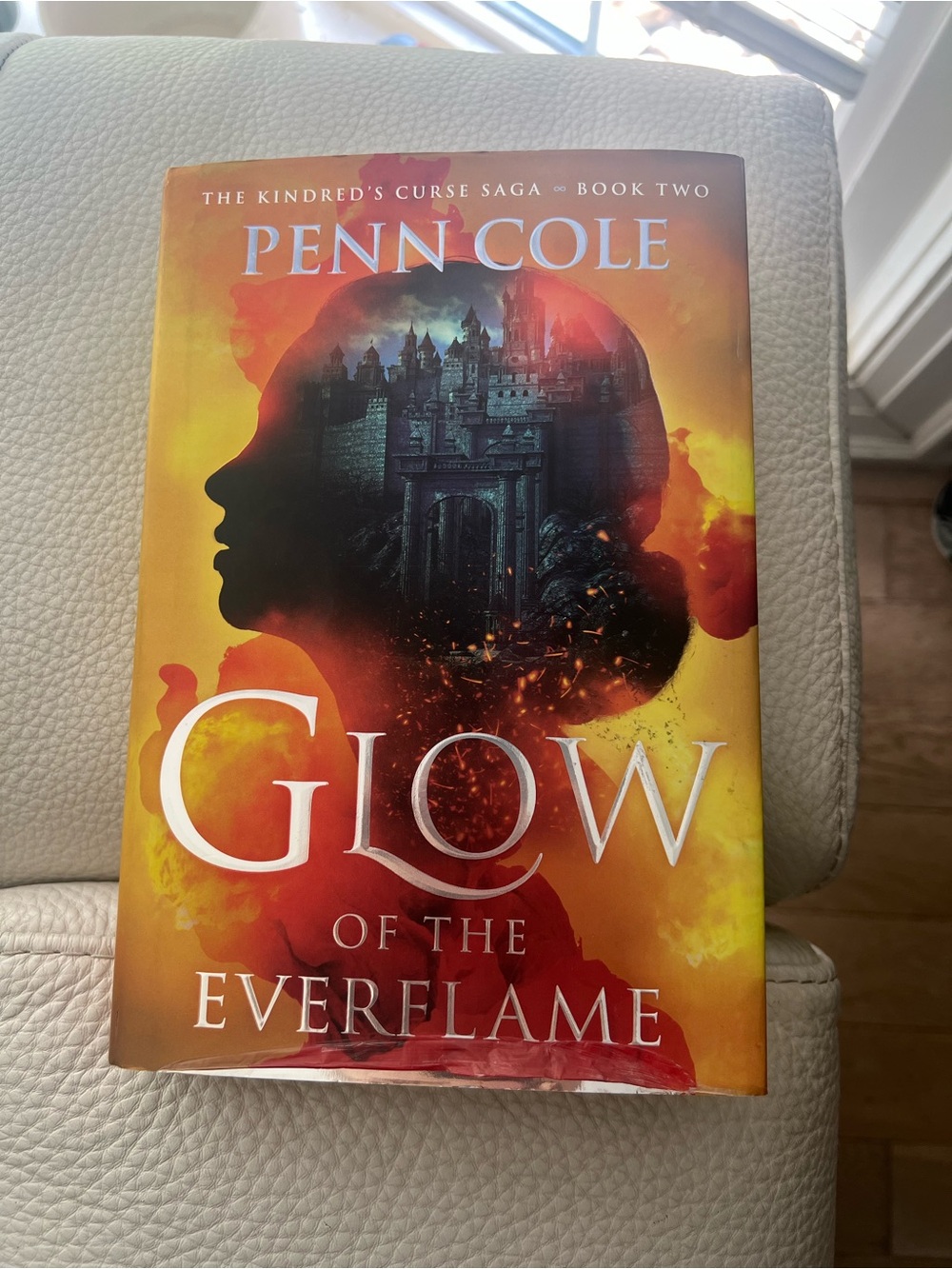 Glow of the Everflame by Penn Cole